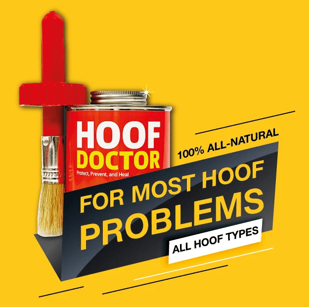 Health is always above wealth! - Hoof Doctor