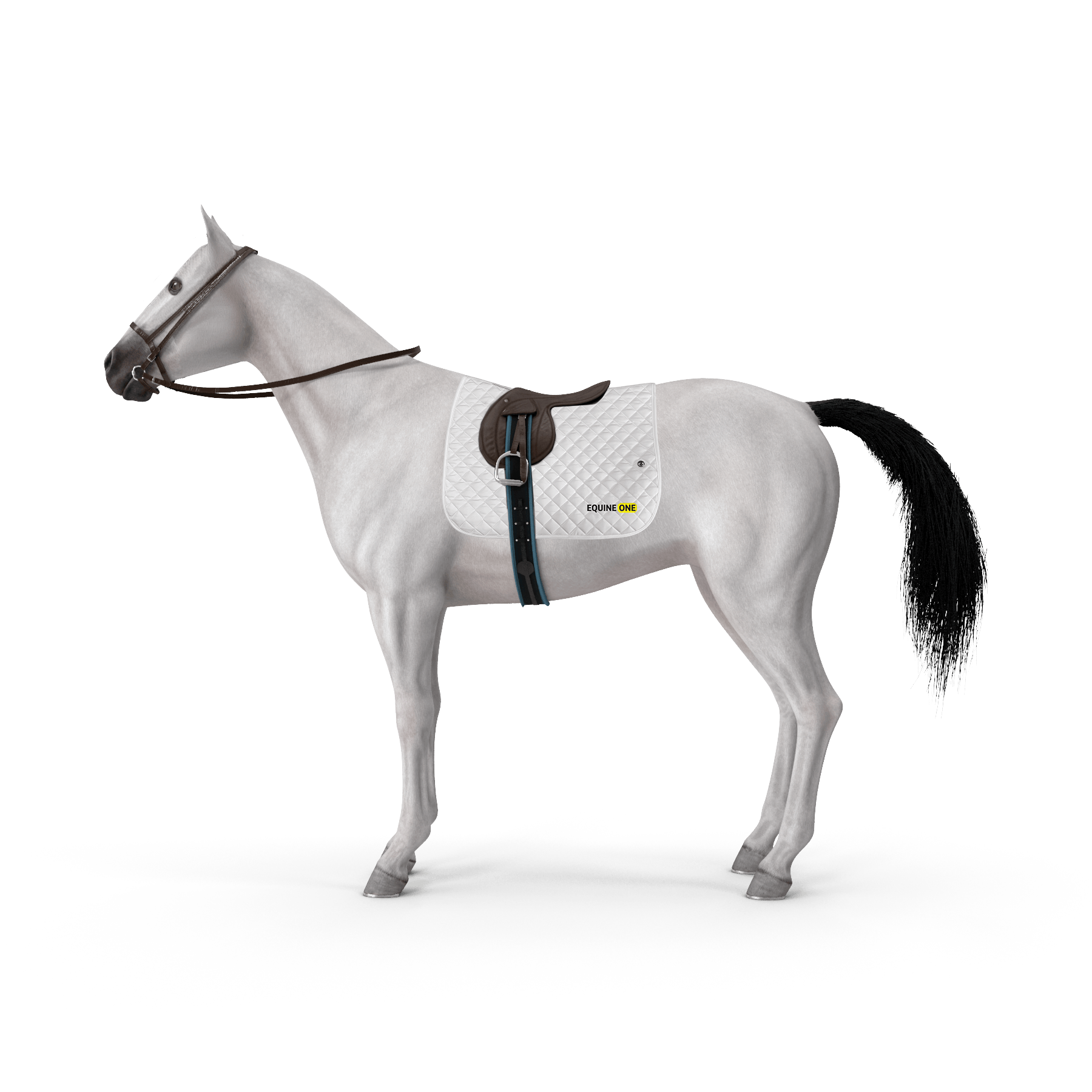 EquineOne Saddle Pad